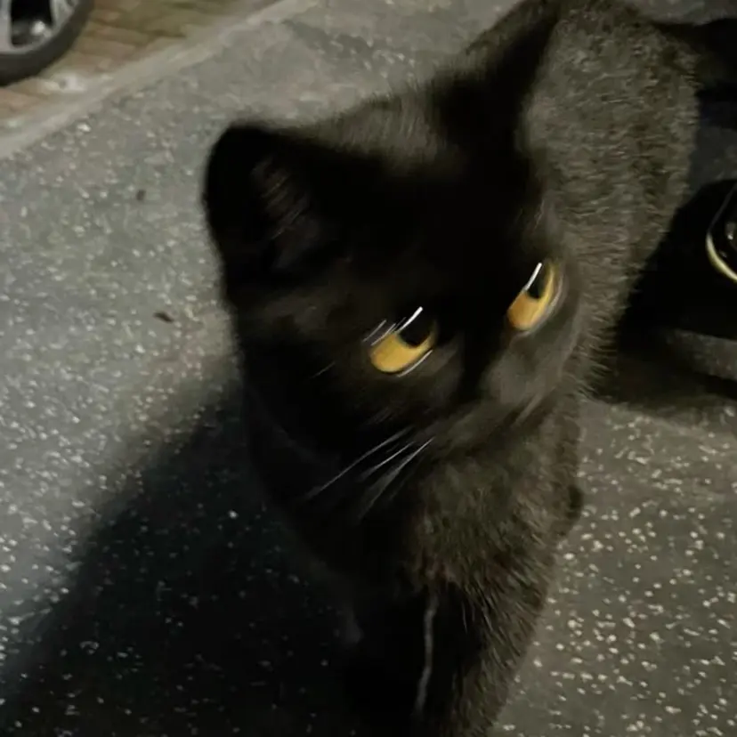 MINENO🌼 パーマ⚡️ブリーチの掲載