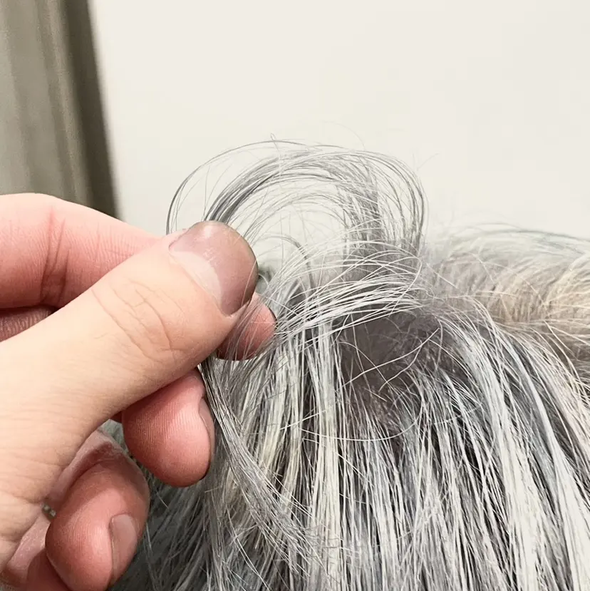 佐藤 大征の掲載