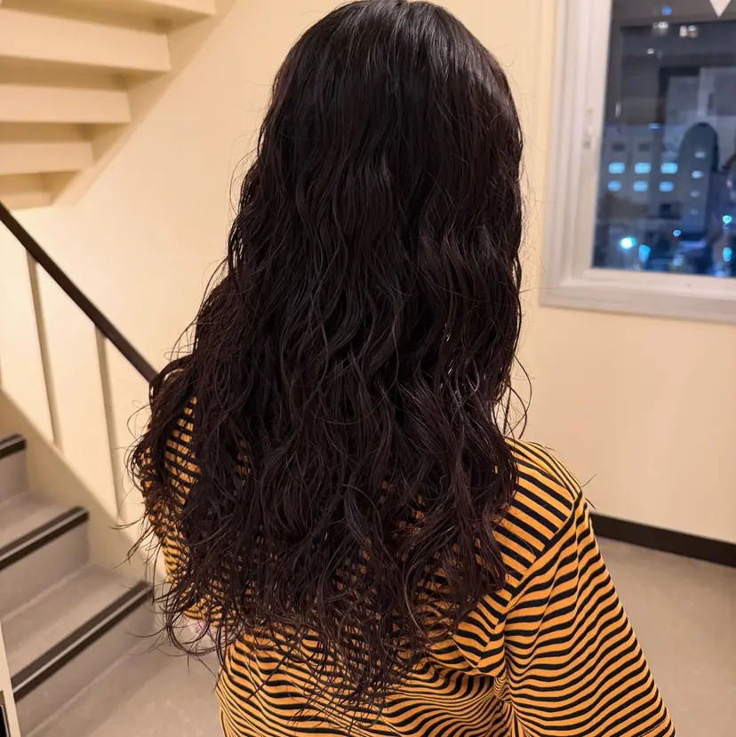 水田 帆波の掲載