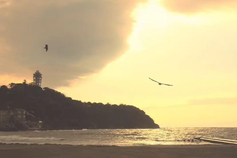 菅谷 希和の掲載