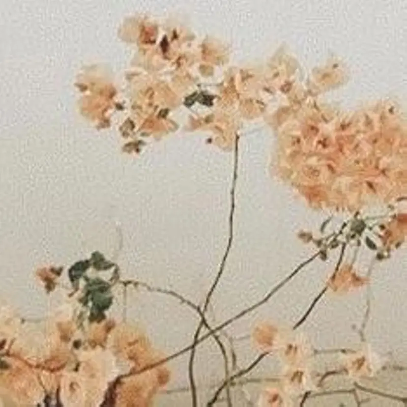 Slange 横浜の掲載