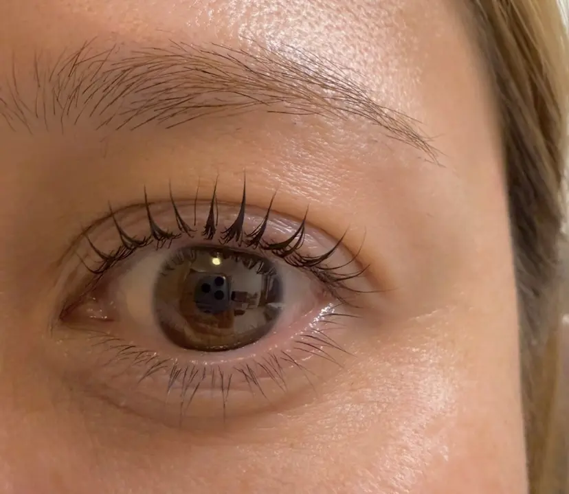 アイラッシュサロン TRの掲載