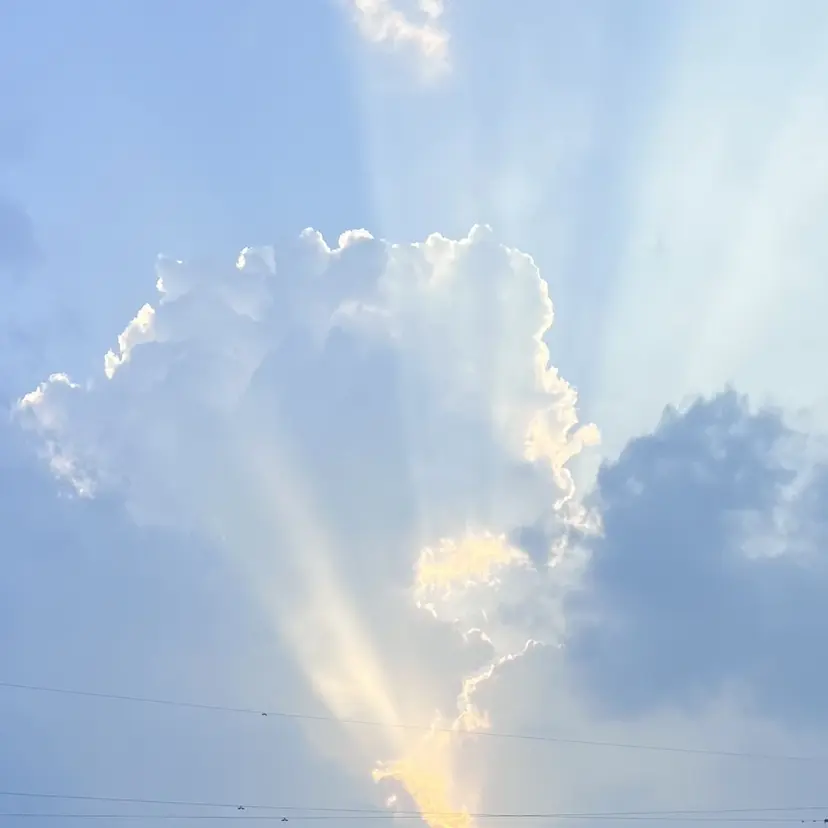 平田 はなの掲載