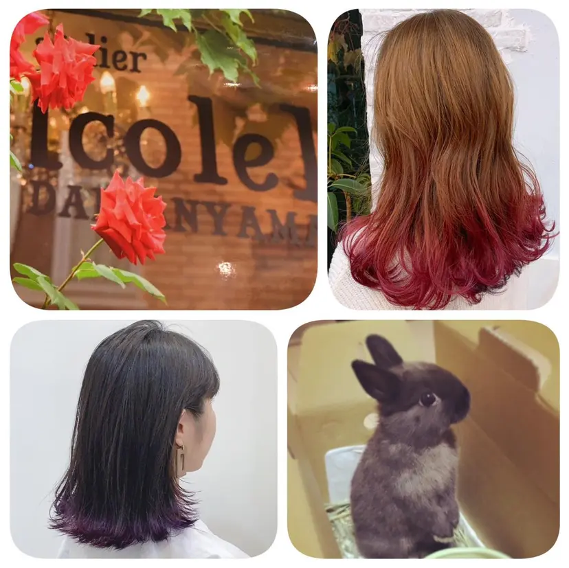 Dahlia 鈴木の掲載