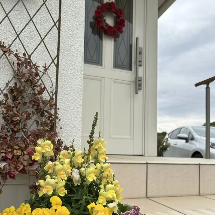 ラ・ファミーユ シルクの掲載