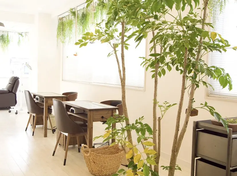 Laguna RISAの掲載