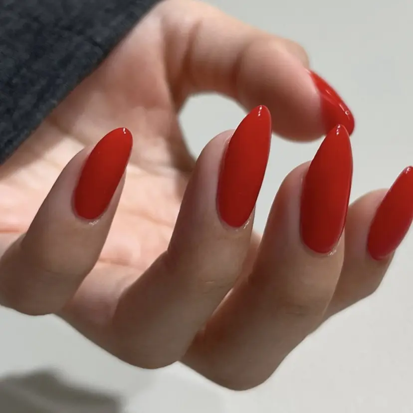 甲村 未玖の掲載