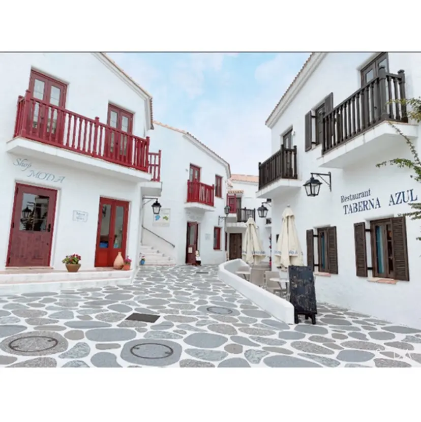 Chaton IGARASHIの掲載