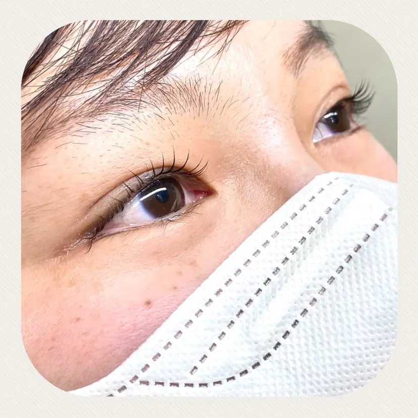 石川 美幹の掲載