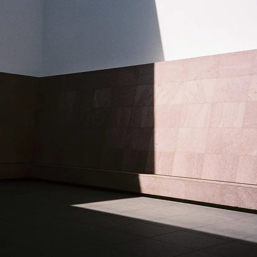 西村 絵美里の掲載