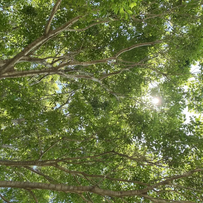 メンズカット/パーマ ✂︎ 　山下　貴也の掲載