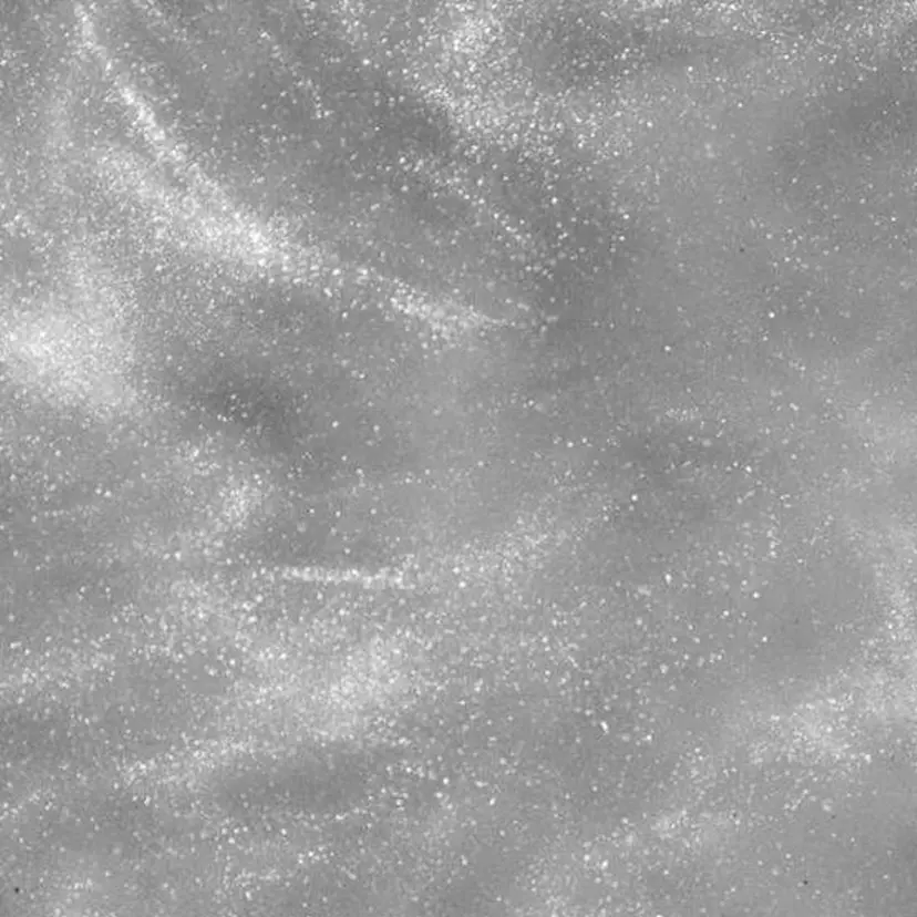 MOEKA 🌼 まつパモデル募集中の掲載