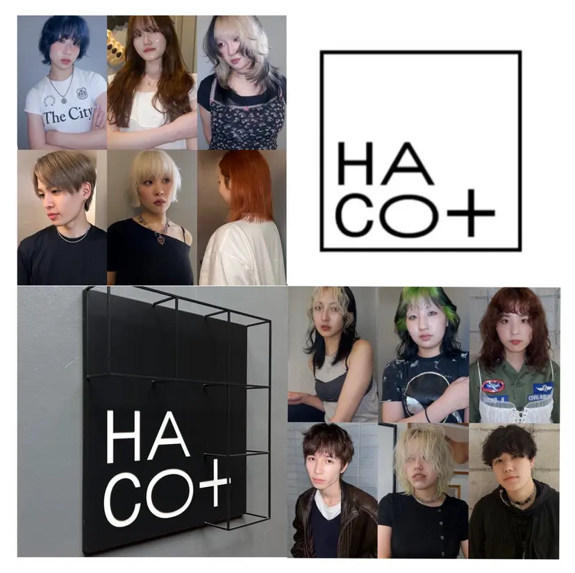 Yaya ヤヤ / HACO+の掲載