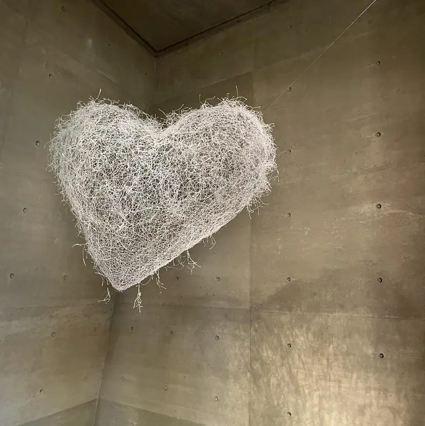 eyelash Re:nkの掲載