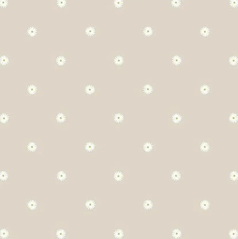 酒見 里奈の掲載