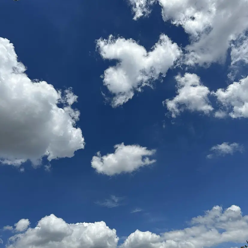 SHIAN橋本 🌷うい🌷の掲載