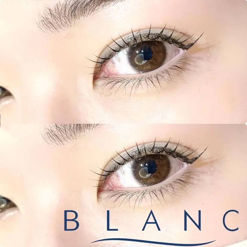 小川 理菜の掲載