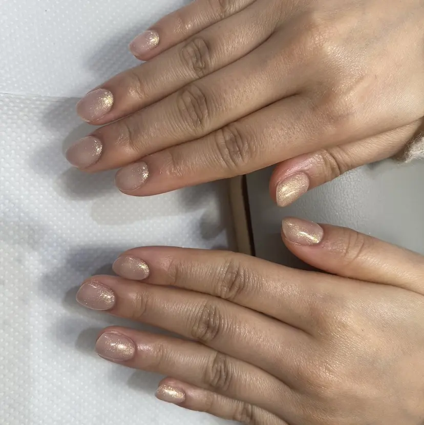 盛田 心和の掲載