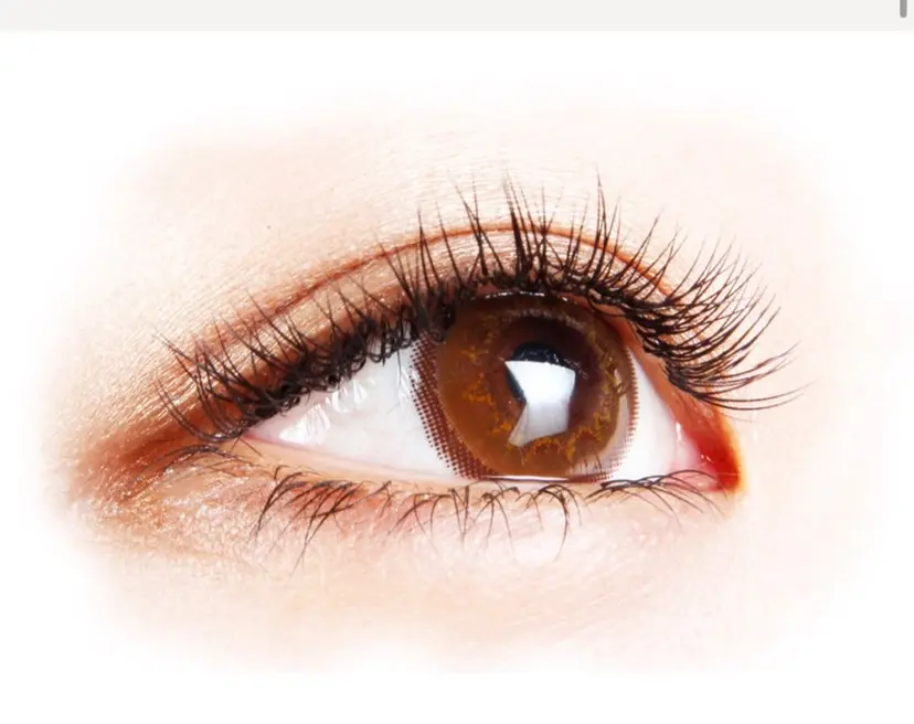 松山 鈴菜の掲載