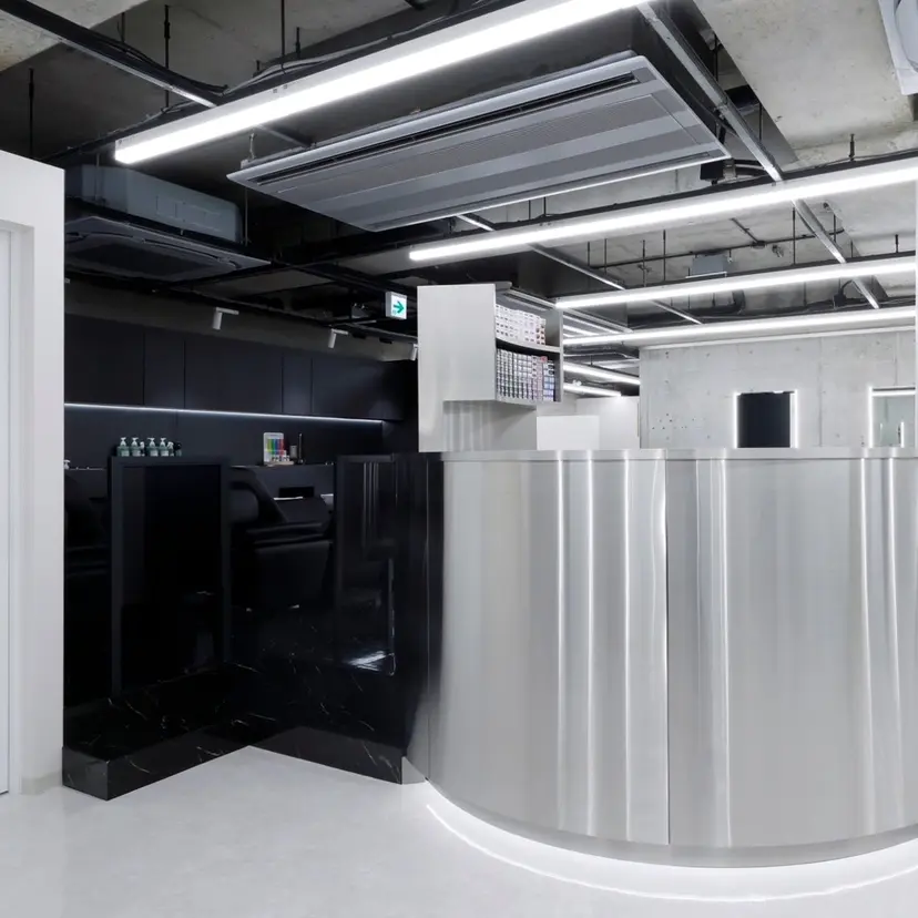 モリシタ チョウの掲載