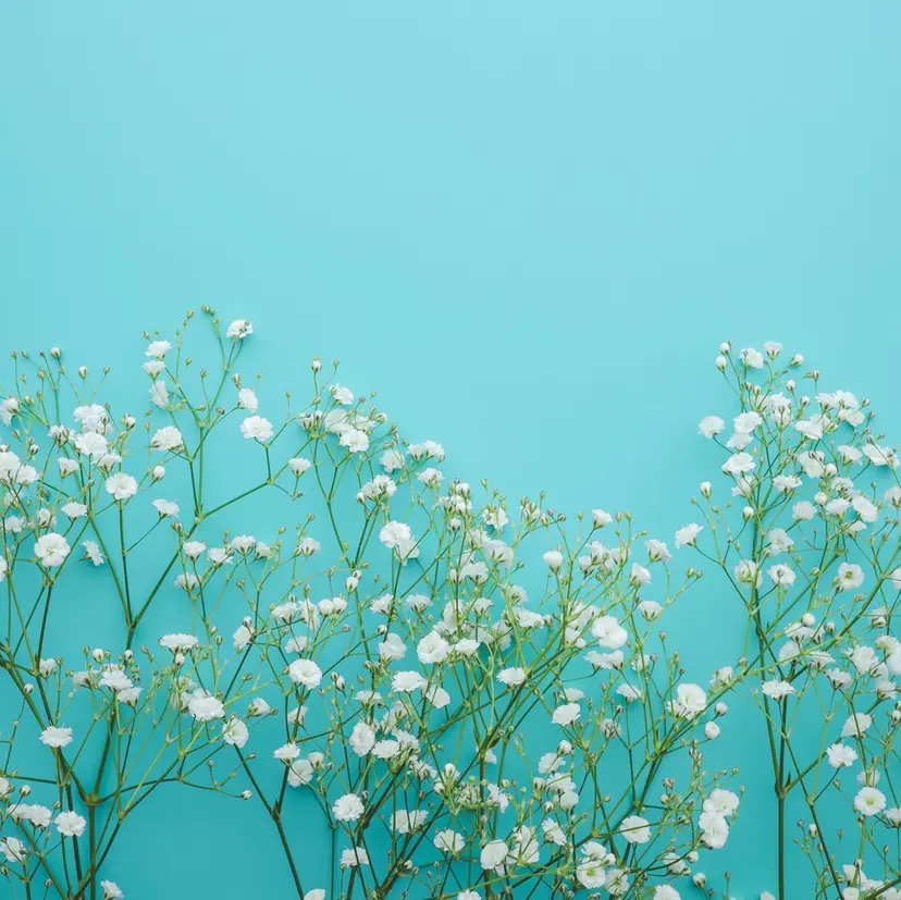 well eye 🌙 narumiの掲載