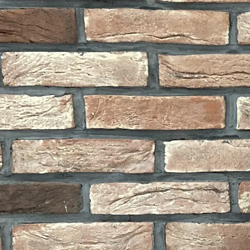 岸本 恵美の掲載