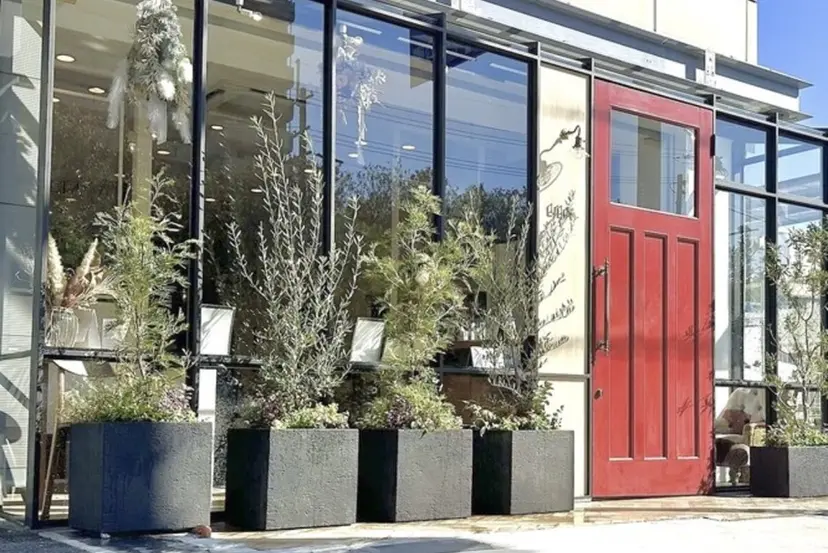 ハタナカ ☆の掲載