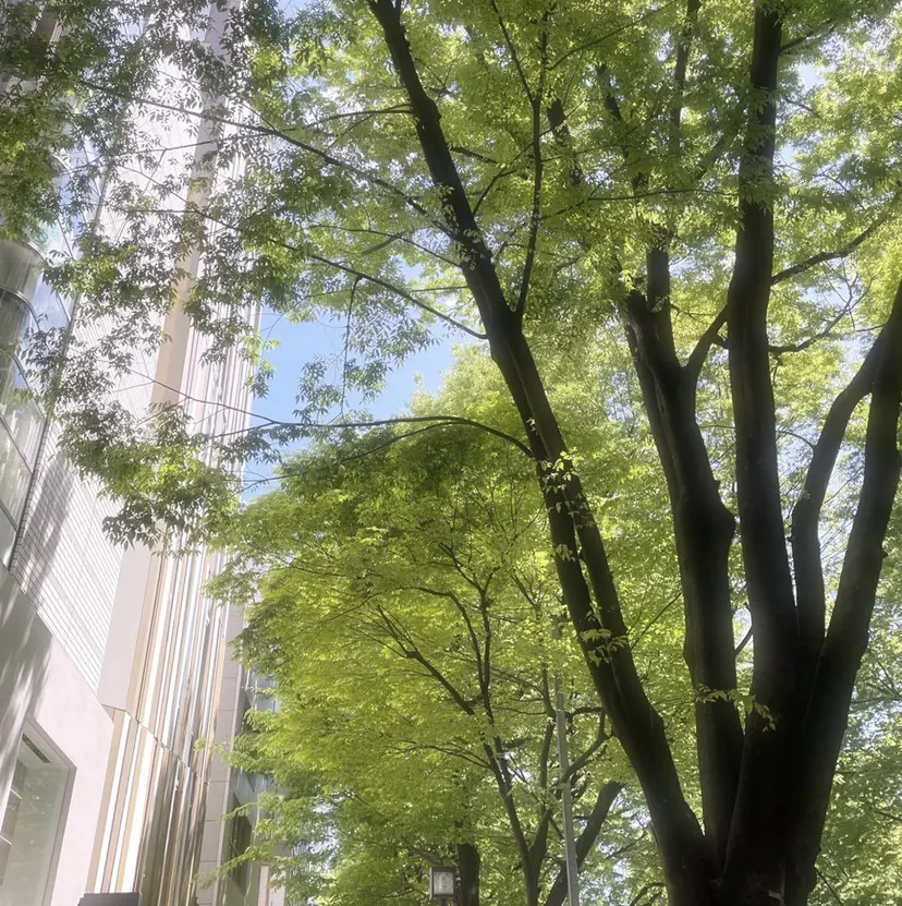 PRIMO<マツパ> 原宿/明治神宮前の掲載