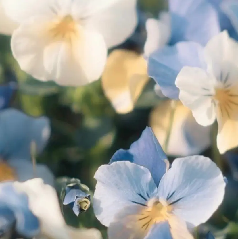 髪質改善／艶髪 💎Ryoka💎の掲載