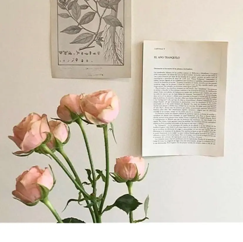 🫧髪質改善艶カラー _マエダ 🫧の掲載