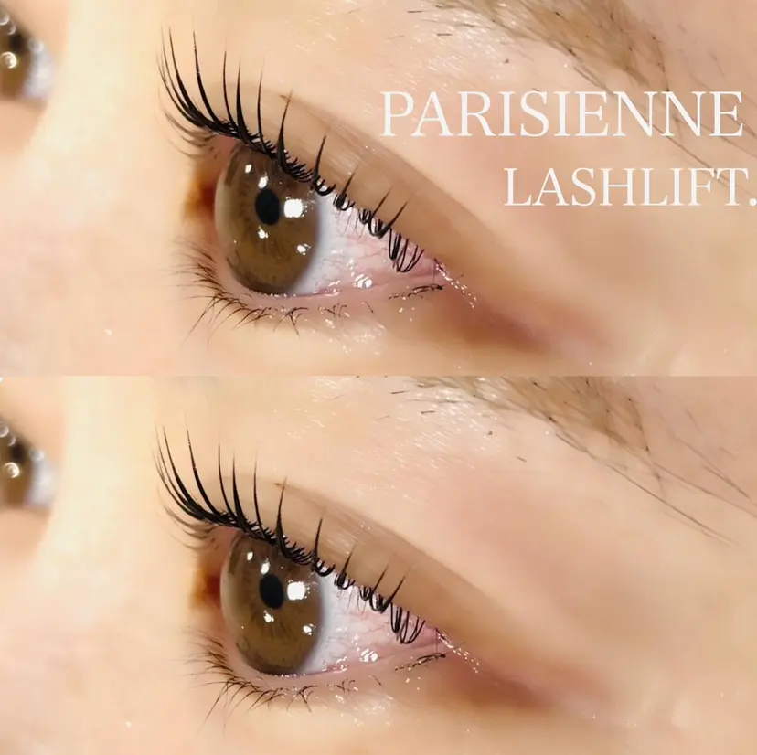 マリーテレジア 研修モデル専用の掲載