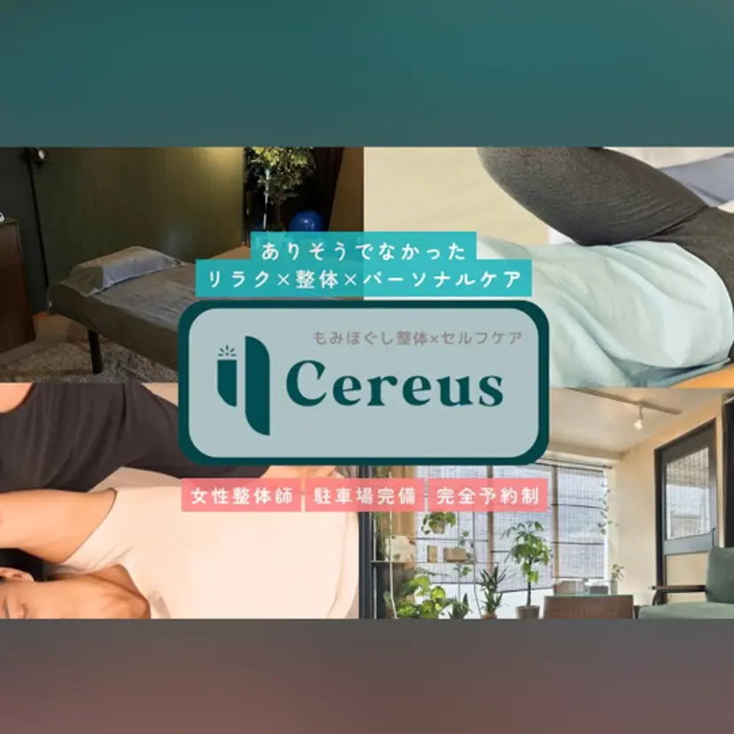 yamashita saeの掲載