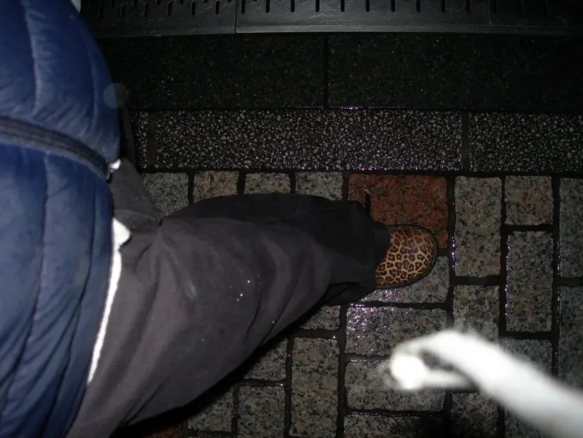 Ryuto Watanabeの掲載