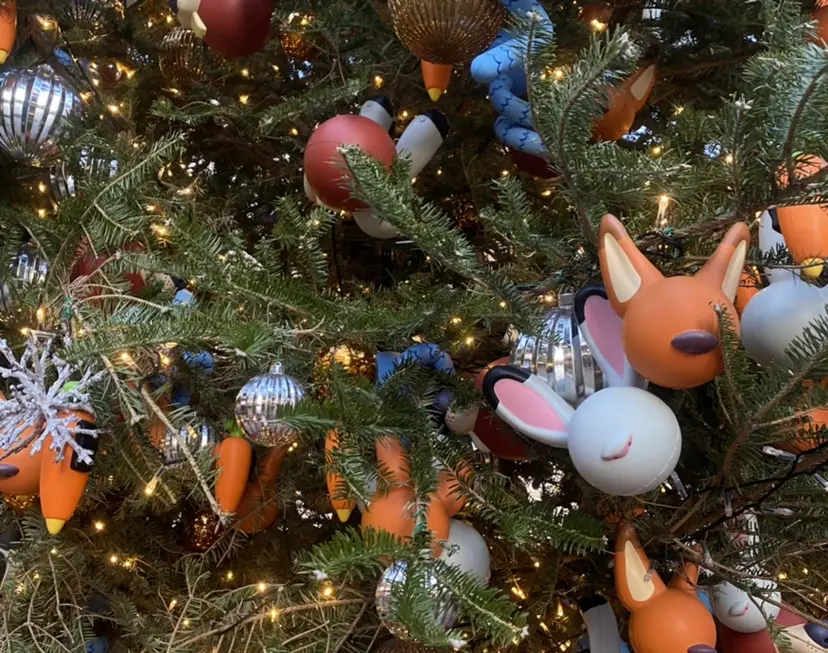 🌼ホシカワ ナナカ🌼の掲載