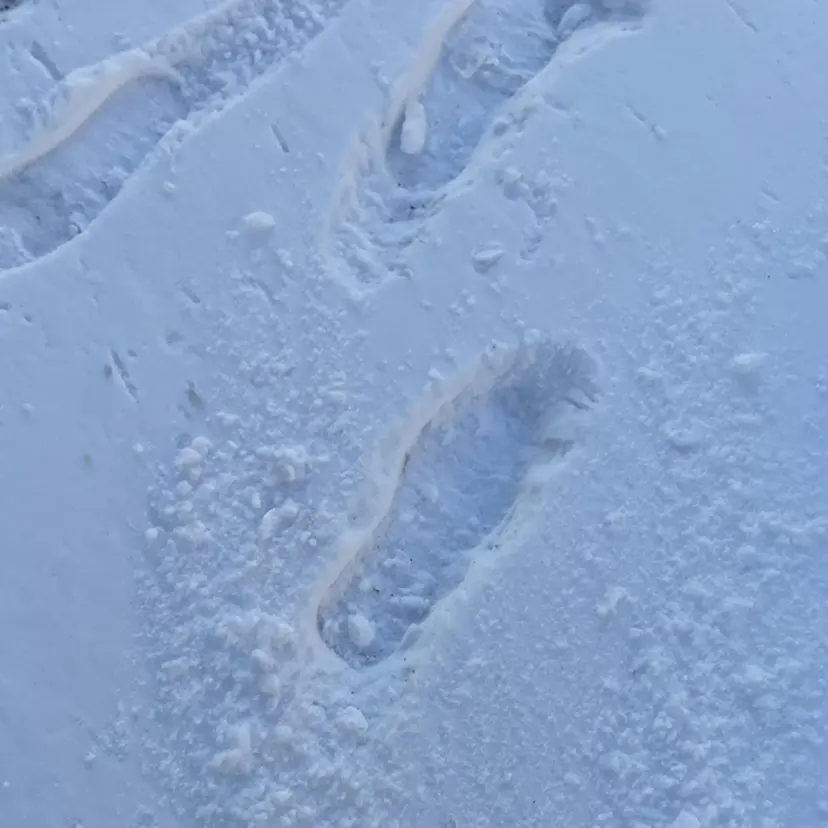 🍟月舘りほ カラー/髪質改善🍟の掲載