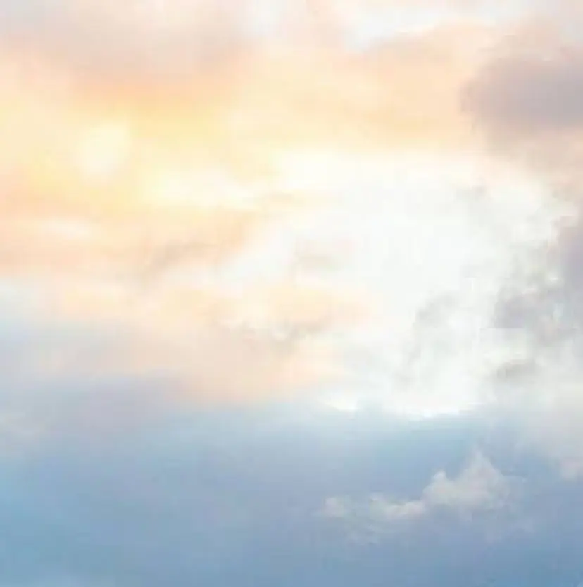 alice tokyo上村★の掲載