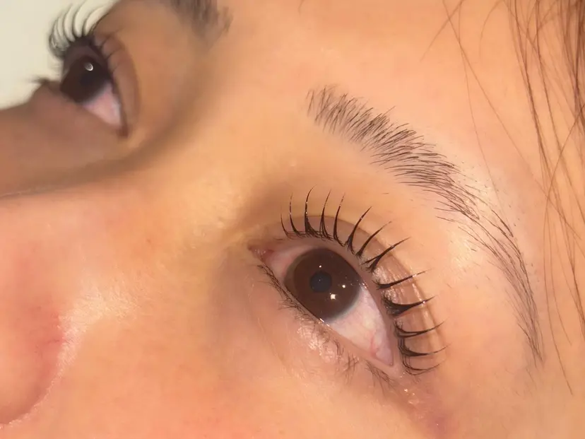 Mary :モンルル SAKAYAの掲載