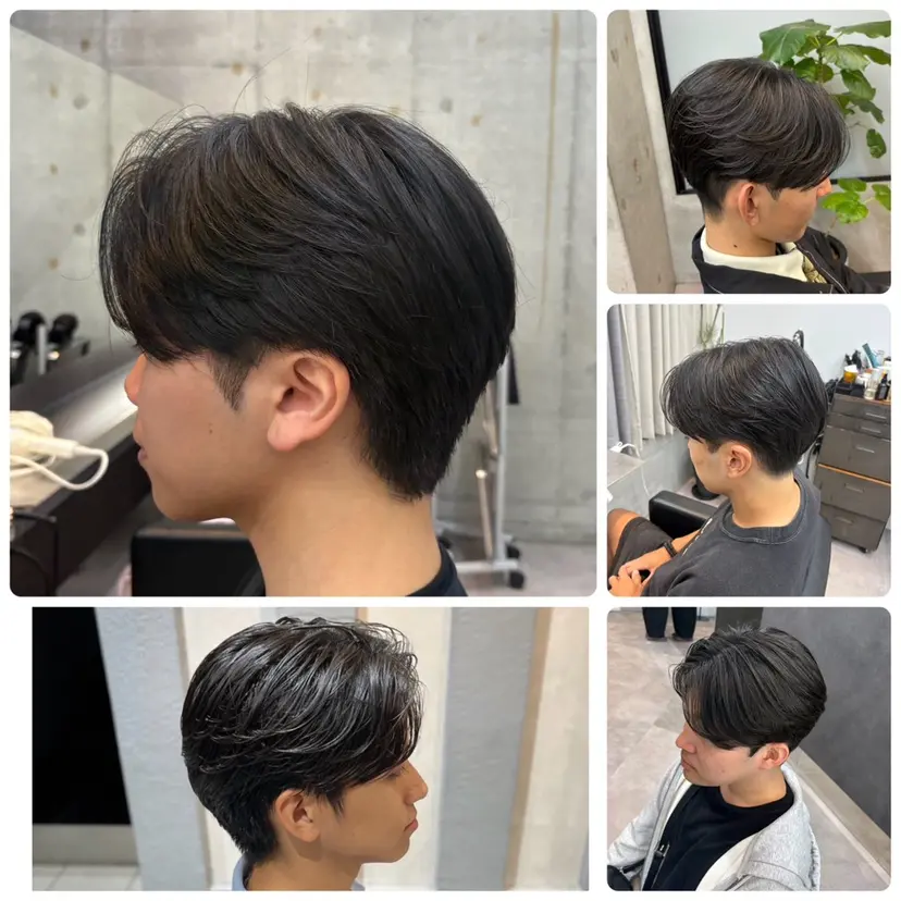 タク エルの掲載