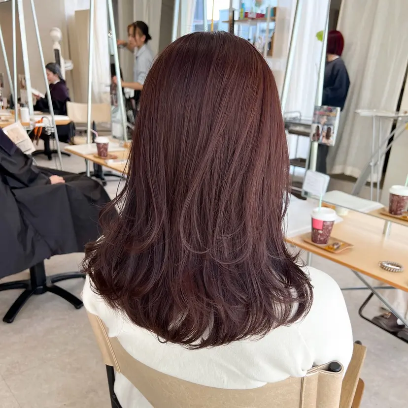 桑原 希吏の掲載