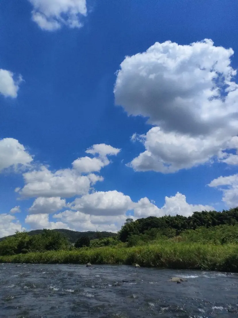 平山 ゆりの掲載