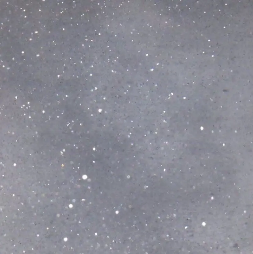 渋谷 莉央の掲載