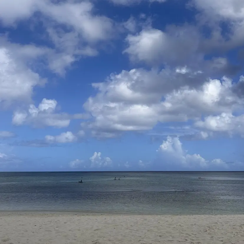 WHITE EYE saoriの掲載