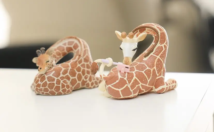 gir 【ジル】の掲載