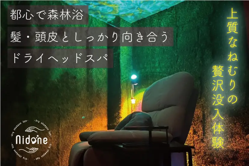 ドライシャンプースパ ニドネの掲載