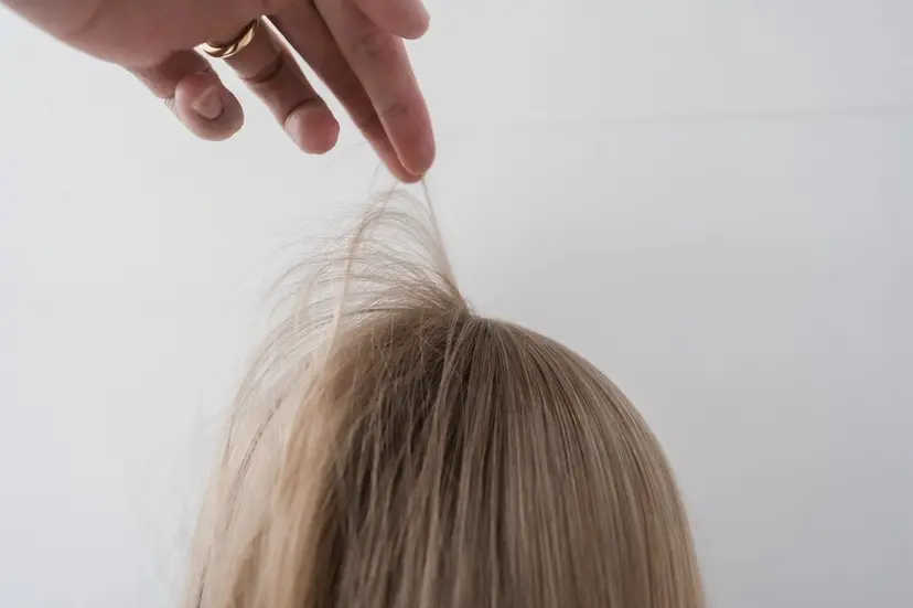 大串 美紅の掲載