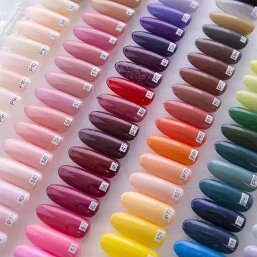 志形 彩音の掲載