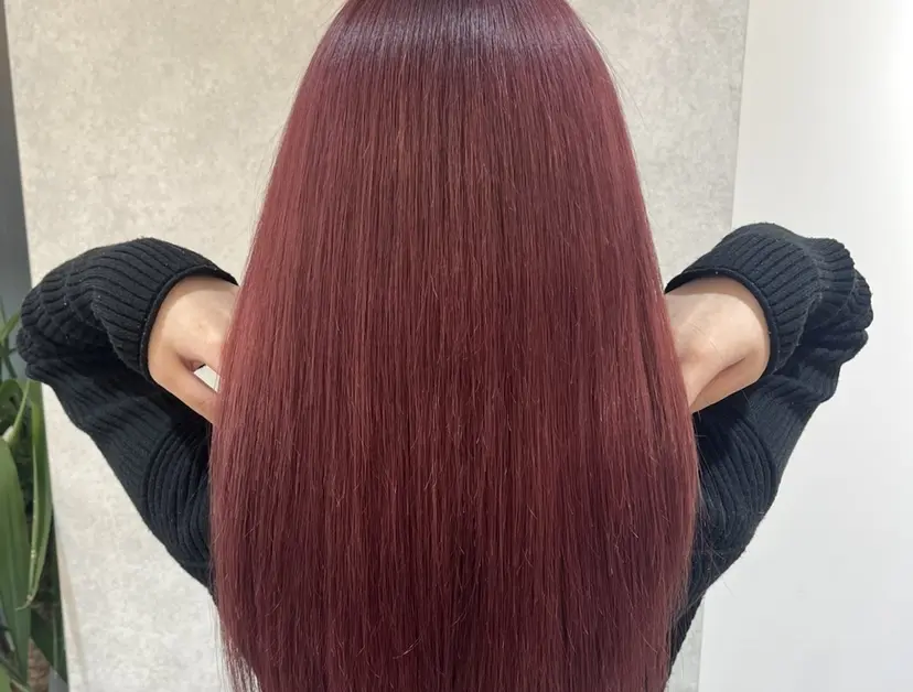 菊池 純香の掲載