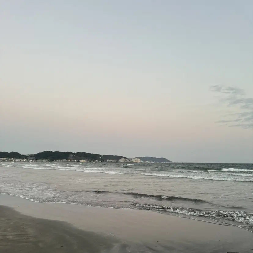 恩田 結衣の掲載