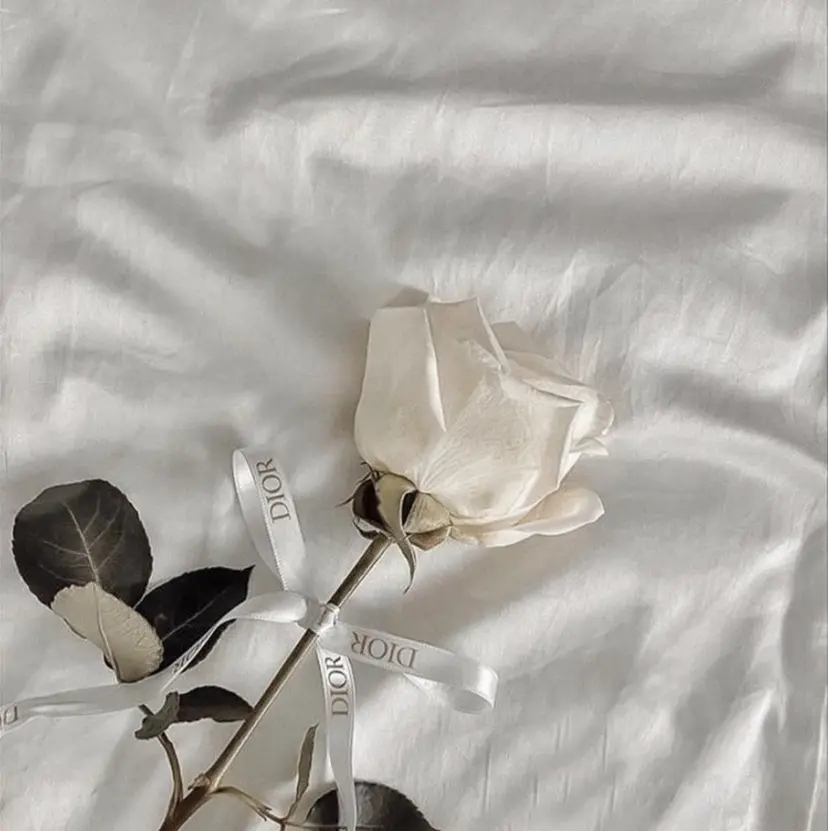 Laulii RIKAの掲載