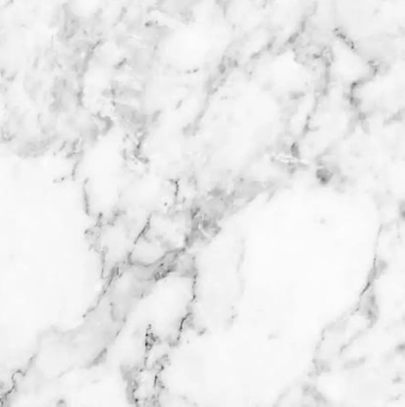 佐藤 美沙の掲載